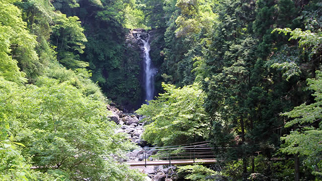 大棚の滝